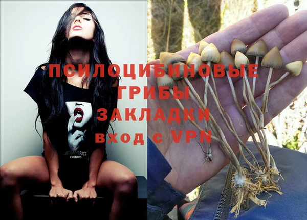 винт Зеленодольск