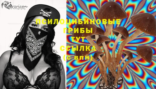 mdma Зерноград