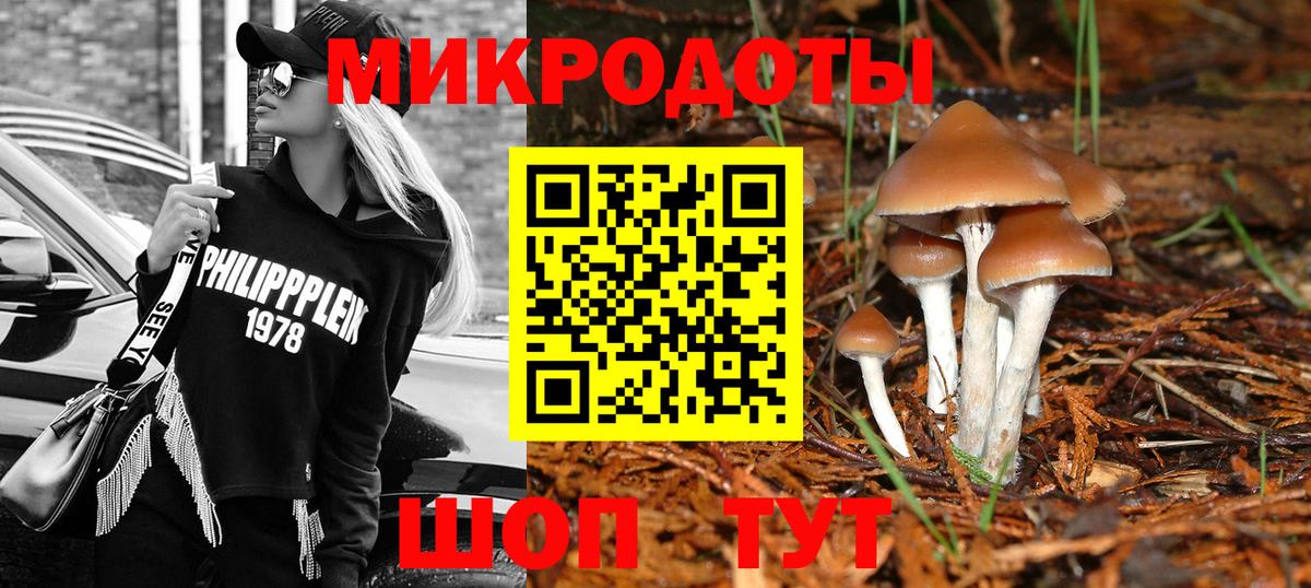 Саянск  Галлюциногенные грибы прущие грибы  Вход с VPN 
