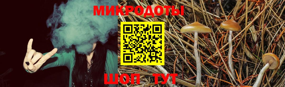 Галлюциногенные грибы GOLDEN TEACHER Саянск