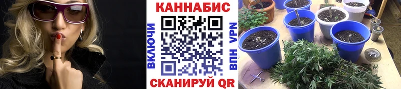 shop телеграм Саянск МАРИХУАНА индика